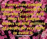 FB_IMG_1615484056403.jpg
