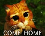 come come home