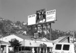 CarlyBillboard.jpg