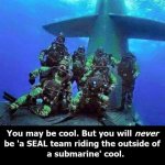 Seals.jpg