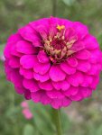 IMG_6839.jpeg