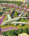 Dubai Miracle Garden.jpg