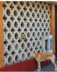 doglove.jpg