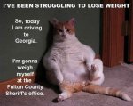 IMG_3431.jpeg
