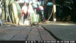 DSCF0009.JPG
