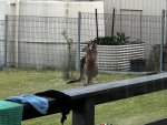 IMG_1826.jpeg