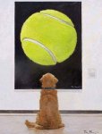 Ball.jpg