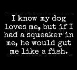 squeeker.jpg