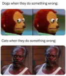 1706908997457.png
