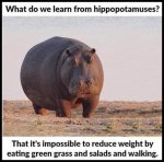 diet.jpg