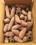 potatoheads.jpg