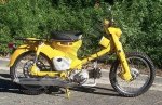 IMG_8047.jpeg