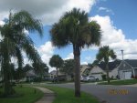 IMG_6657.JPG