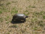 IMG_6719.JPG