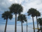 IMG_6741.JPG