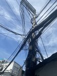 IMG_1438.JPEG