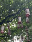 IMG_2112.JPEG