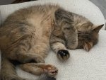 IMG_0477 (1).JPEG