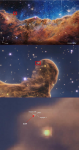 1723243521826.png