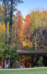 IMG_2677.jpeg