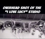 lucy.jpg