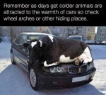 warmth.jpg
