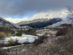 IMG_8535.jpeg