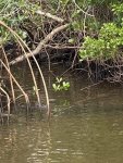 IMG_3516.JPEG