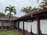 IMG_8594.JPEG