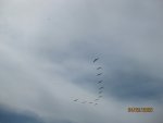 IMG_1144.JPG