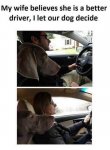 driver.jpg
