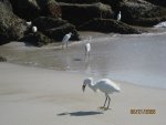 IMG_1525.JPG