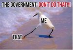IMG_3668.jpeg
