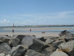 IMG_1903.JPG