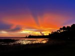 IMG_5517.jpeg