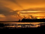 IMG_5516.jpeg