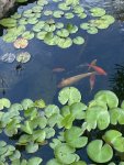 IMG_4353.JPEG