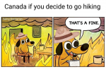 1754877174494.png