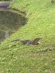 IMG_3944.JPEG