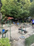 IMG_3947.JPEG