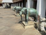 IMG_4310.JPEG