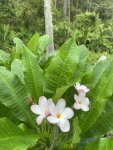 IMG_4398.JPEG