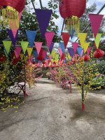 IMG_4975.JPEG