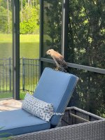 IMG_6799.JPEG