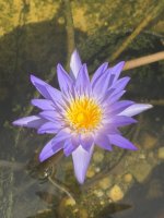 IMG_7227.JPEG