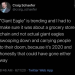 1eagle.png
