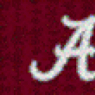 Dixie's Pride