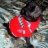 Bama Pug